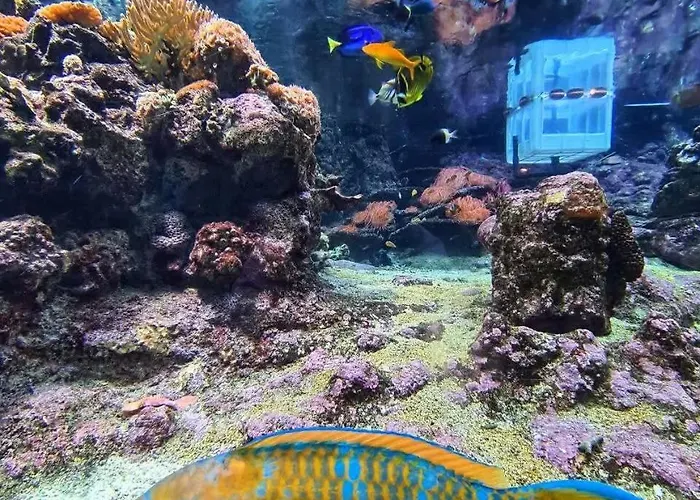 아파트 Visit_genova *